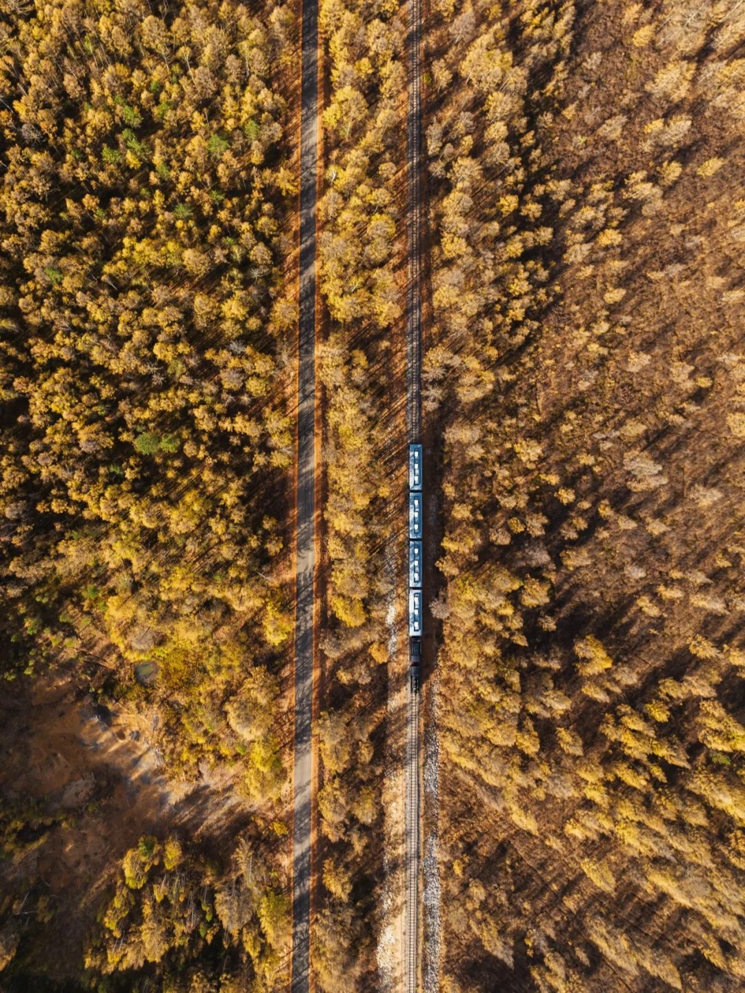 白鹿岛值得去吗？临江还有北坡？ DAY 3_2_乔治George_秋景-大兴安岭-国庆特辑-来自52tours 我爱旅游网